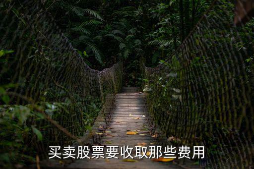 买卖股票要收取那些费用