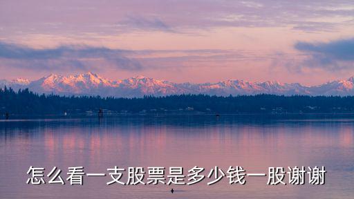 怎么看一支股票是多少钱一股谢谢