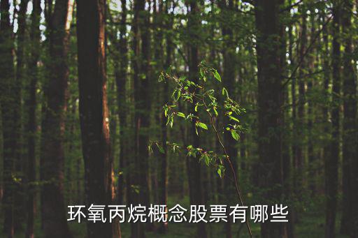 环氧丙烷概念股票有哪些