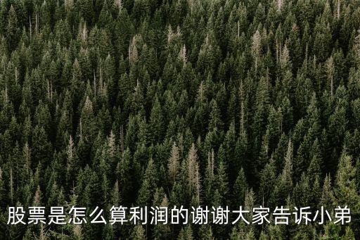 买卖股票怎么算利润多少，如何算一只股票赚了多少钱