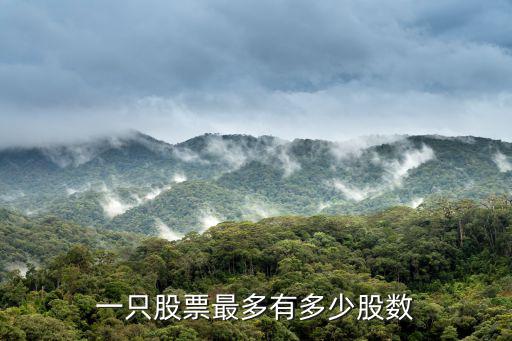 股票购入最多多少股，在证券交易中一次最多能买多少股或多少手