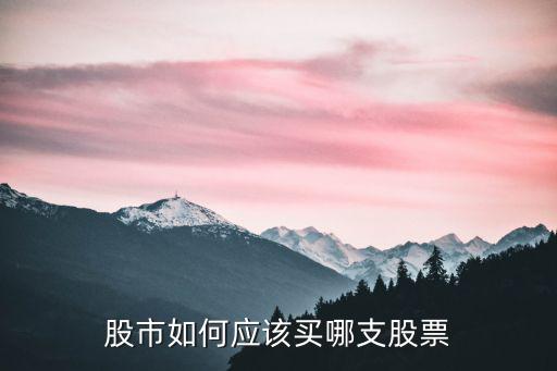 股市如何应该买哪支股票