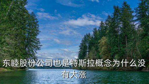 东睦股份公司也是特斯拉概念为什么没有大涨