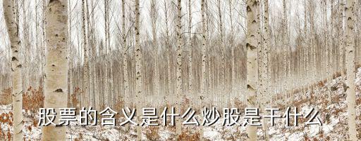 股票的含义是什么炒股是干什么
