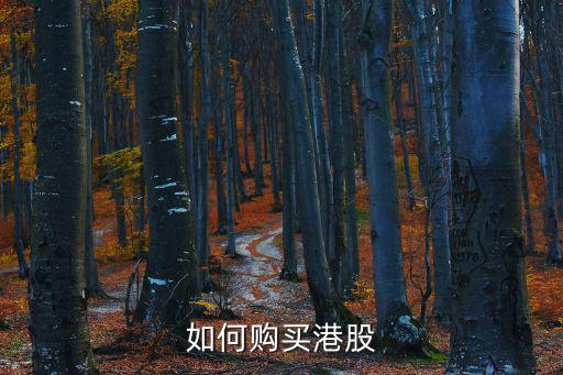 怎么买香港的股票，怎么买港股