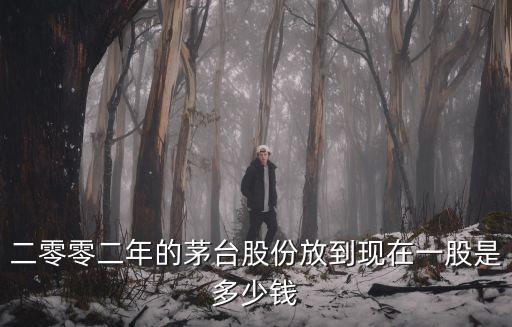二零零二年的茅台股份放到现在一股是多少钱