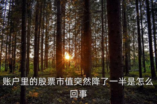 股票缩水过半什么意思，在股市里一只股票的户数减少了一半这是怎么回事