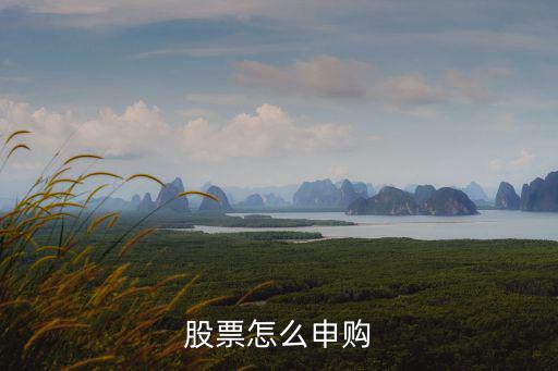 股票怎么申购