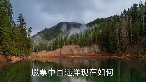 股票中国远洋现在如何