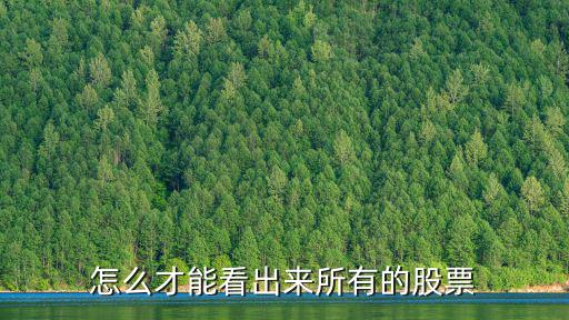 全部的股票怎么看，如何查看各板块的所有股票