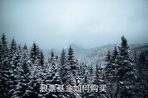 股票基金如何购买