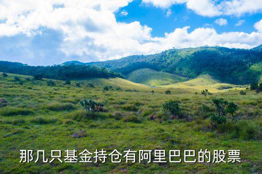 阿里腾讯有什么股票基金，中概互联基金有哪些