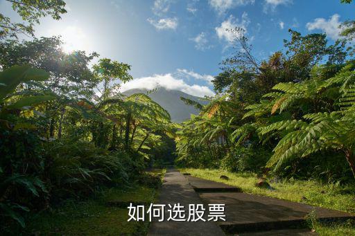 如何选股票