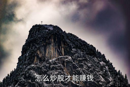怎么炒股才能赚钱