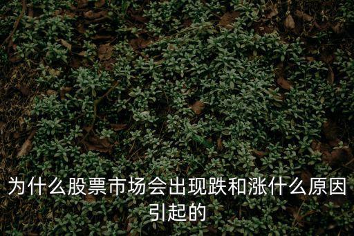为什么股票跟着主力涨跌，为什么股票都是一起涨或一起跌的