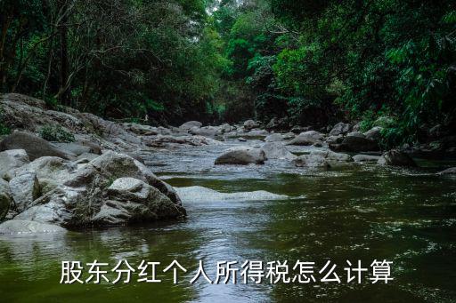 股东分红个人所得税怎么计算