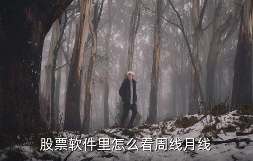 股票软件里怎么看周线月线