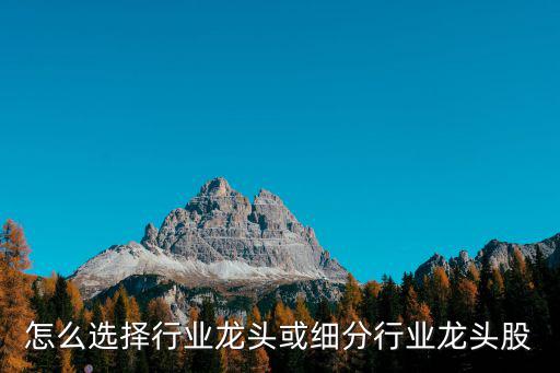 怎么选择行业龙头或细分行业龙头股