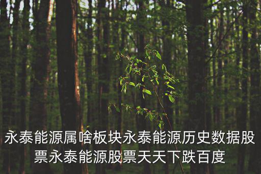 永泰能源属啥板块永泰能源历史数据股票永泰能源股票天天下跌百度