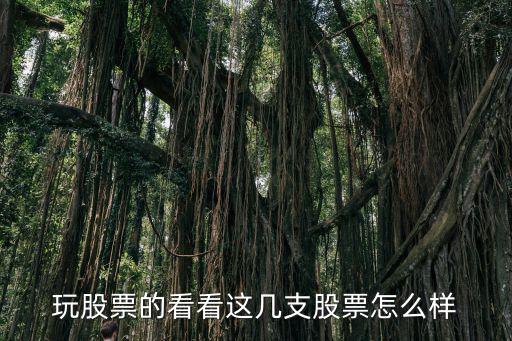 玩股票的看看这几支股票怎么样