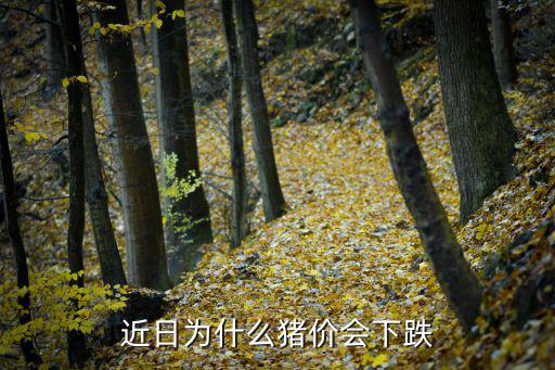 近日为什么猪价会下跌