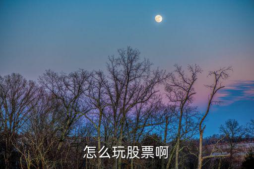 怎么玩股票啊