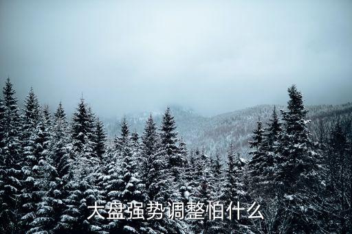 大盘强势调整怕什么