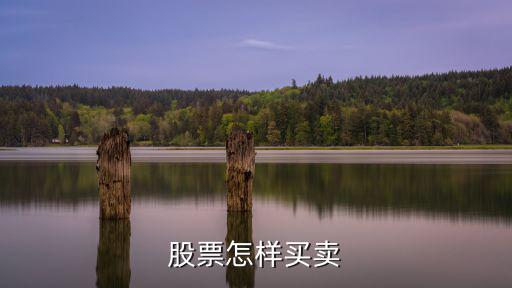 股票怎样买卖