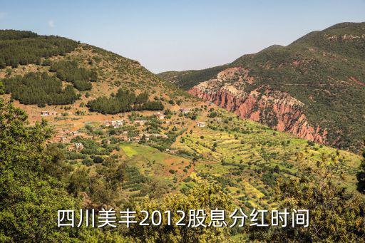 四川美丰股票怎么样，四川美丰2012股息分红时间