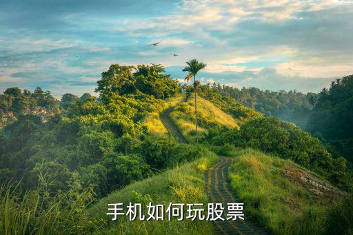 手机股票怎么玩，手机如何玩股票