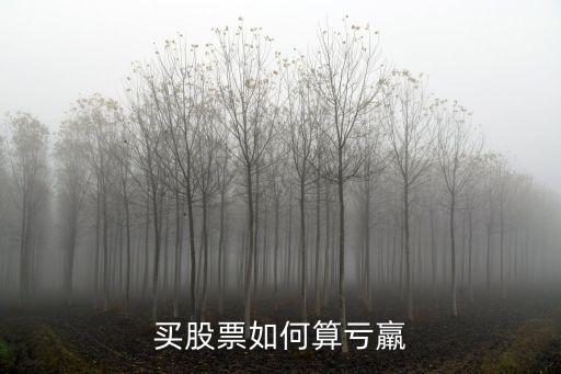 买股票怎么亏，买股票如何算亏羸