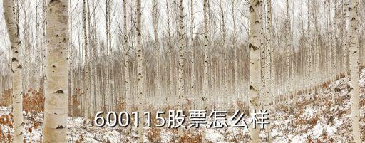 中科三环股票怎么样，600115股票怎么样