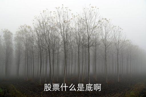股票创新底什么意思，股票什么是底啊