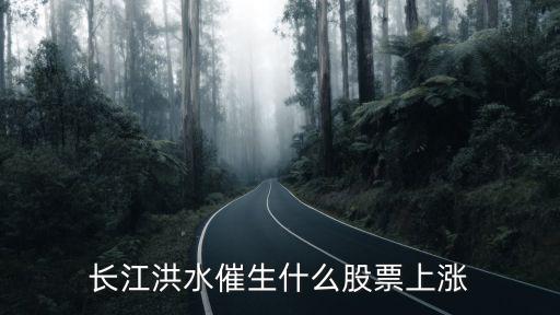 长江洪水催生什么股票上涨