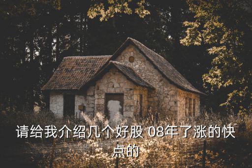 请给我介绍几个好股 08年了涨的快点的