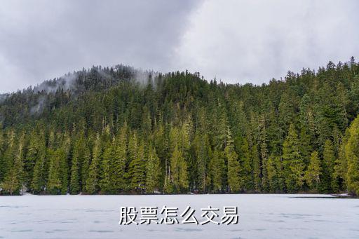 股票怎么交易