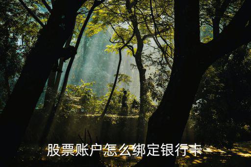 股票账户怎么绑定银行卡