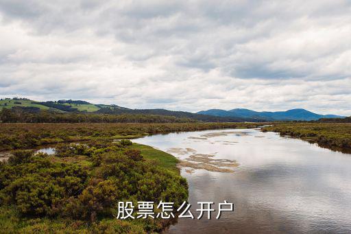 股票怎么开户