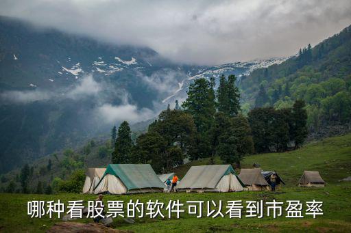 哪种看股票的软件可以看到市盈率