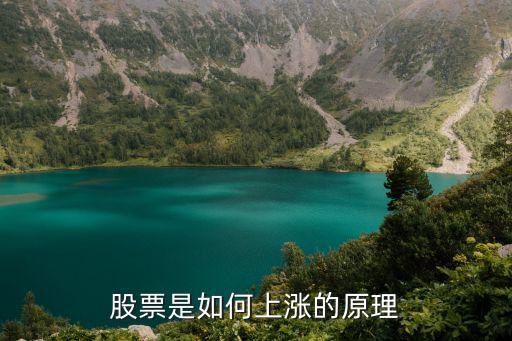 股票是如何上涨的原理