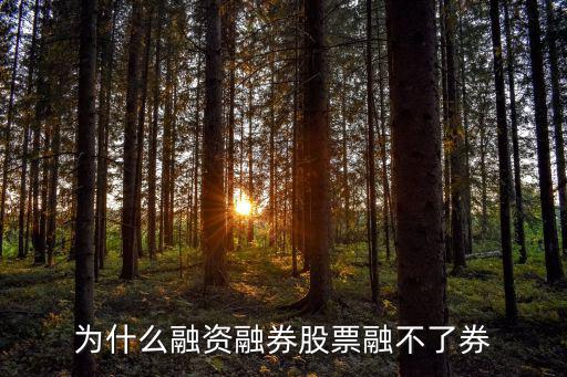 持有股票为什么不能融资，不能融资融券的股票是不是不好