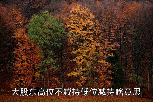 大股东高位不减持低位减持啥意思
