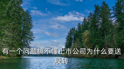 有一个问题搞不懂上市公司为什么要送股转