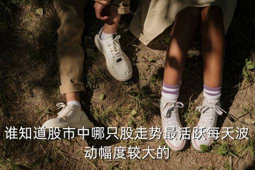 谁知道股市中哪只股走势最活跃每天波动幅度较大的
