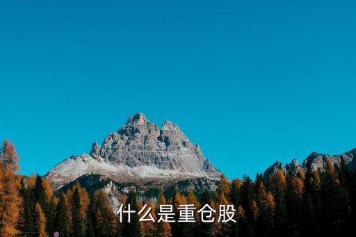 001532重仓什么股票，哪些基金重仓晶瑞股份