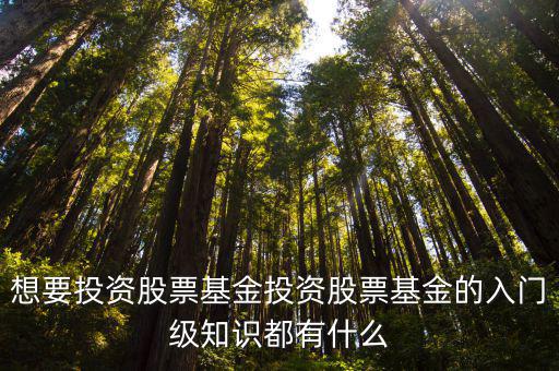 基金股票到底先要掌握什么，股票基金的入门基础知识有哪些
