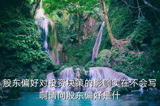 股东偏好对投资决策的影响实在不会写啊请问股东偏好是什