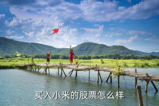 买入小米的股票怎么样