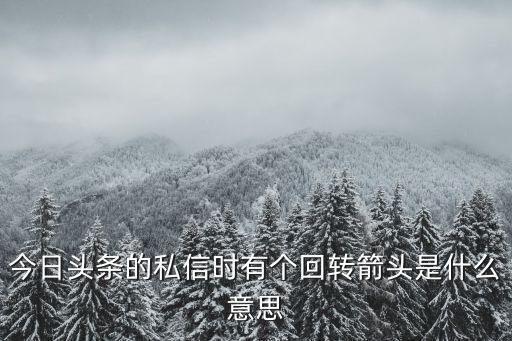 今日头条的私信时有个回转箭头是什么意思