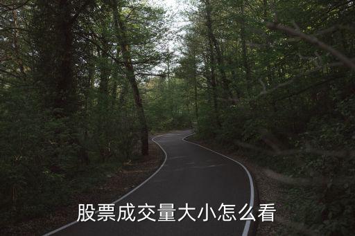 股票成交量大小怎么看